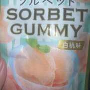 ヒメ日記 2025/01/04 00:28 投稿 ほたる いざ候 本館
