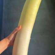 ヒメ日記 2025/01/08 15:17 投稿 ほたる いざ候 本館