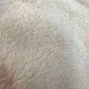 ヒメ日記 2025/04/02 00:23 投稿 ほたる いざ候 本館