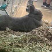 ヒメ日記 2025/05/09 23:59 投稿 ほたる いざ候 本館