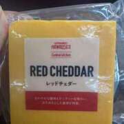 ヒメ日記 2025/08/19 00:07 投稿 ほたる いざ候 本館