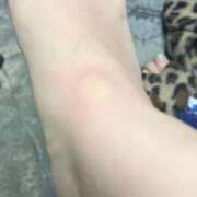 ヒメ日記 2025/10/12 23:47 投稿 ほたる いざ候 本館