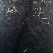 ヒメ日記 2025/11/10 00:07 投稿 ほたる いざ候 本館