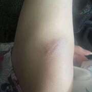 ヒメ日記 2025/12/05 23:57 投稿 ほたる いざ候 本館