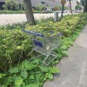 ヒメ日記 2026/01/06 23:56 投稿 ほたる いざ候 本館