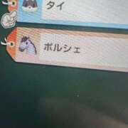 ヒメ日記 2026/01/17 13:47 投稿 ほたる いざ候 本館