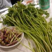 ヒメ日記 2026/02/12 00:18 投稿 ほたる いざ候 本館