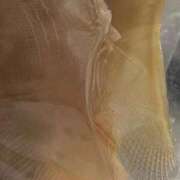 ヒメ日記 2026/02/15 00:05 投稿 ほたる いざ候 本館