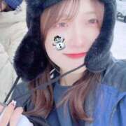 ヒメ日記 2025/02/10 14:12 投稿 めいあ CECIL