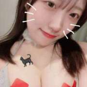 ヒメ日記 2025/03/21 13:01 投稿 めいあ CECIL