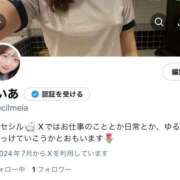 ヒメ日記 2025/04/15 20:46 投稿 めいあ CECIL