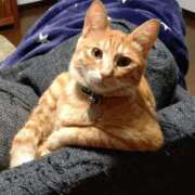 ヒメ日記 2025/02/04 23:13 投稿 遠藤【えんどう】 丸妻 西船橋店