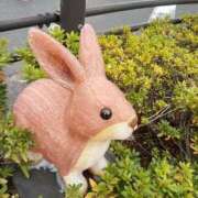 ヒメ日記 2025/03/03 18:17 投稿 遠藤【えんどう】 丸妻 西船橋店