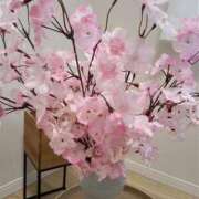 ヒメ日記 2025/06/05 22:49 投稿 遠藤【えんどう】 丸妻 西船橋店