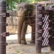 ヒメ日記 2025/07/18 17:59 投稿 遠藤【えんどう】 丸妻 西船橋店