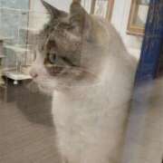 ヒメ日記 2025/09/08 12:17 投稿 遠藤【えんどう】 丸妻 西船橋店