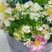 ヒメ日記 2025/11/01 11:15 投稿 遠藤【えんどう】 丸妻 西船橋店