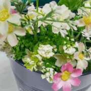 ヒメ日記 2025/12/06 18:48 投稿 遠藤【えんどう】 丸妻 西船橋店