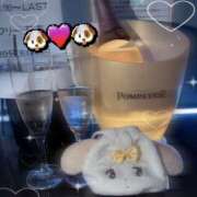 ヒメ日記 2026/03/29 13:02 投稿 ゆら 花影（かえい）