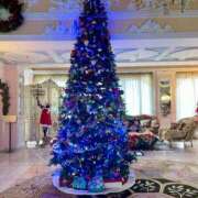 ヒメ日記 2025/11/09 17:37 投稿 みれい 柏人妻花壇