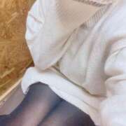 みれい キーワード♡ 柏人妻花壇