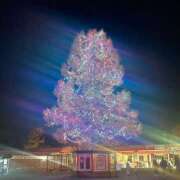 みれい おれい♡ 柏人妻花壇