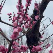 ヒメ日記 2025/05/03 23:49 投稿 朝日　のあ 雫(しずく)