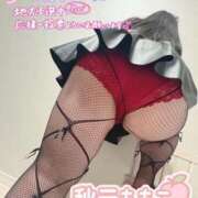 ヒメ日記 2025/10/31 21:41 投稿 秋元 BBW西船橋店