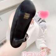 ヒメ日記 2026/02/03 22:49 投稿 秋元 BBW西船橋店