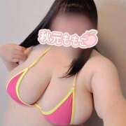 ヒメ日記 2026/04/01 09:41 投稿 秋元 BBW西船橋店