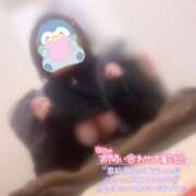 ヒメ日記 2025/02/13 10:55 投稿 なぎ 久留米デリヘルセンター