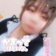 ヒメ日記 2025/03/19 15:05 投稿 なぎ 久留米デリヘルセンター