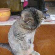 ヒメ日記 2025/03/26 13:33 投稿 なぎ 久留米デリヘルセンター