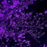 ヒメ日記 2025/03/30 12:42 投稿 なぎ 久留米デリヘルセンター