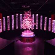 ヒメ日記 2025/04/17 10:56 投稿 なぎ 久留米デリヘルセンター