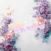 ヒメ日記 2025/04/27 23:49 投稿 なぎ 久留米デリヘルセンター