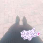 ヒメ日記 2025/05/20 02:26 投稿 なぎ 久留米デリヘルセンター