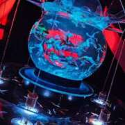 ヒメ日記 2025/05/29 02:06 投稿 なぎ 久留米デリヘルセンター