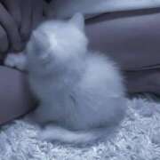 ヒメ日記 2025/06/06 16:26 投稿 なぎ 久留米デリヘルセンター