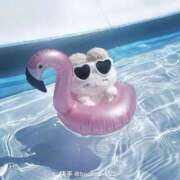 ヒメ日記 2025/10/06 21:49 投稿 なぎ 久留米デリヘルセンター