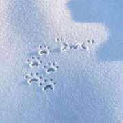 ヒメ日記 2025/11/01 07:36 投稿 なぎ 久留米デリヘルセンター