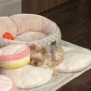 ヒメ日記 2025/06/08 09:56 投稿 ありす スパーク梅田店