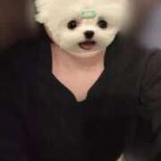 ヒメ日記 2024/12/17 03:53 投稿 はるの【純粋すぎる美女】 STELLA TOKYO－ステラトウキョウ－