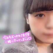 ヒメ日記 2024/12/17 15:32 投稿 はるの【純粋すぎる美女】 STELLA TOKYO－ステラトウキョウ－