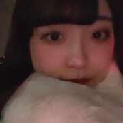 ヒメ日記 2024/12/28 18:13 投稿 はるの【純粋すぎる美女】 STELLA TOKYO－ステラトウキョウ－