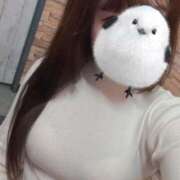 ヒメ日記 2025/02/17 04:29 投稿 白水みさ 手コキ研修塾