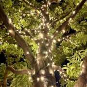 ヒメ日記 2025/02/14 10:08 投稿 あきら 丸妻 横浜本店