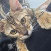 ヒメ日記 2025/03/18 18:32 投稿 あきら 丸妻 横浜本店