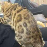 ヒメ日記 2025/03/22 10:00 投稿 あきら 丸妻 横浜本店