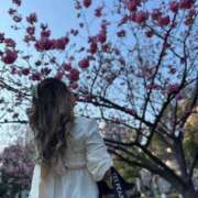 ヒメ日記 2025/03/27 23:22 投稿 あきら 丸妻 横浜本店